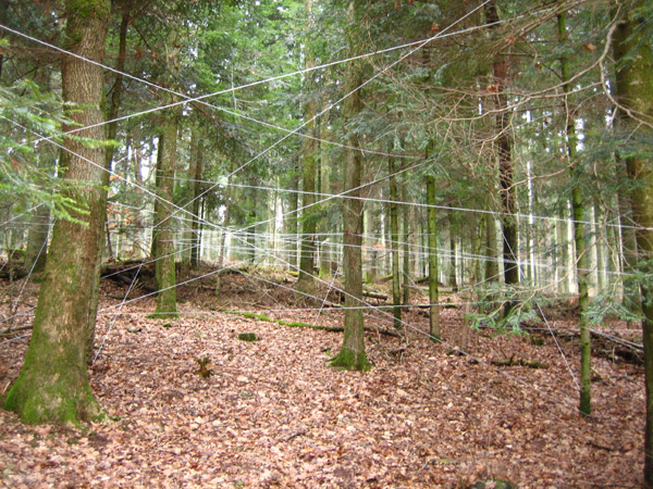 lepaysageestdanslart